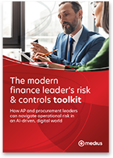 The modern finance leader's risk & controls toolkit cover