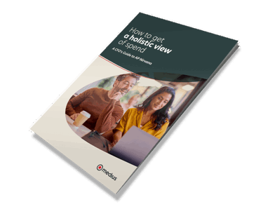 How to get a holistic view of your spend ebook cover