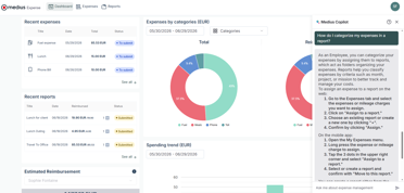 Medius Copilot for Expense - how to categorize expense