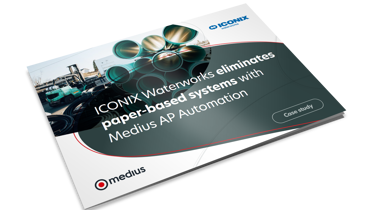 ICONIX Waterworks case study cover