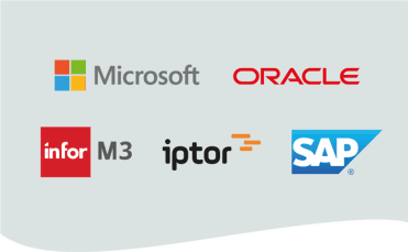 ERP Logos