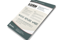 Lush case study