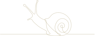 illustration of a snail