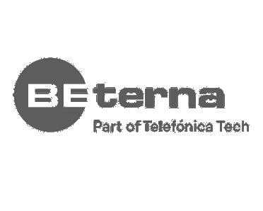 BE-Terna logo