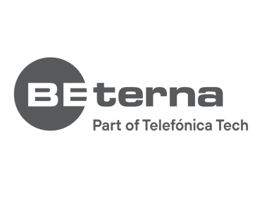 BE-Terna logo