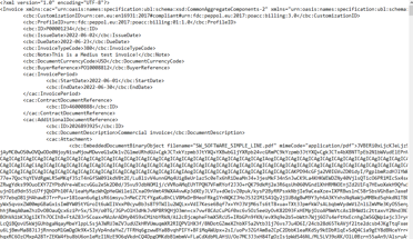 AP Automation - XML Invoice screenshot