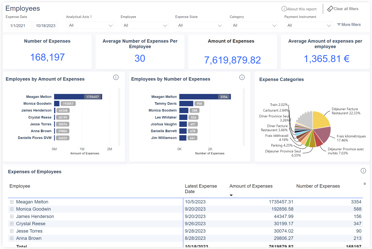 Employee expenses dashboard