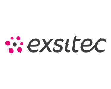 Exsitec logo