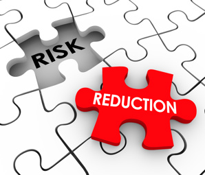 risk reduction puzzle pieces