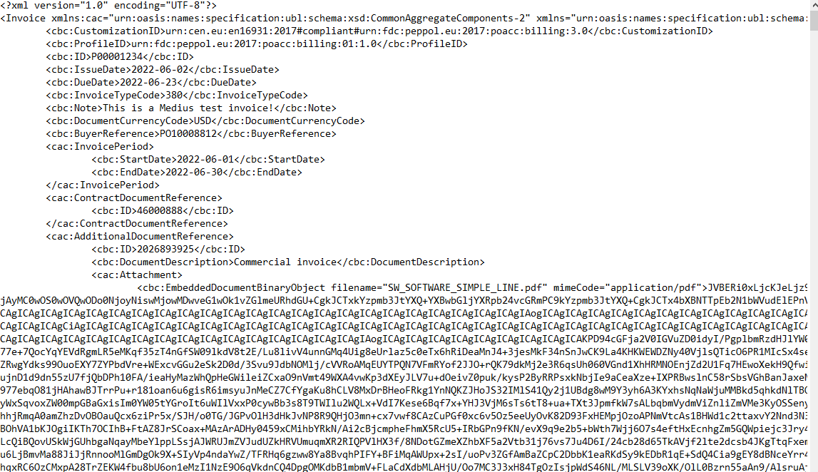 XML invoice code screen